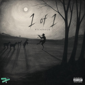 Nick Dolo — 1 OF 1 album cover